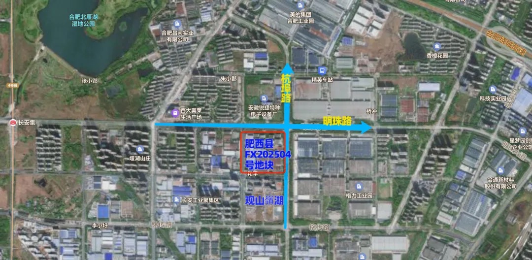 1743124131451.jpg